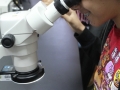 Ecologia12