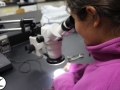 Ecologia14