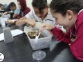 Ecologia5
