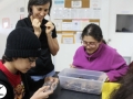 Ecologia7