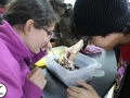 Ecologia8